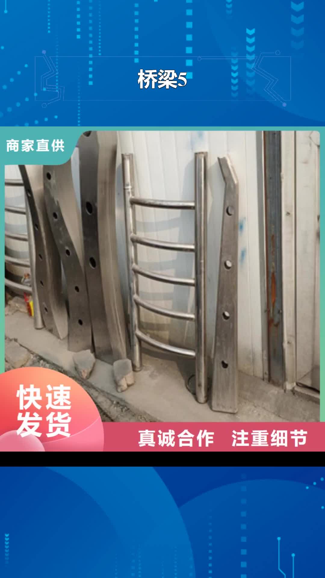 迪庆【桥梁5】,防撞护栏立柱厂家案例