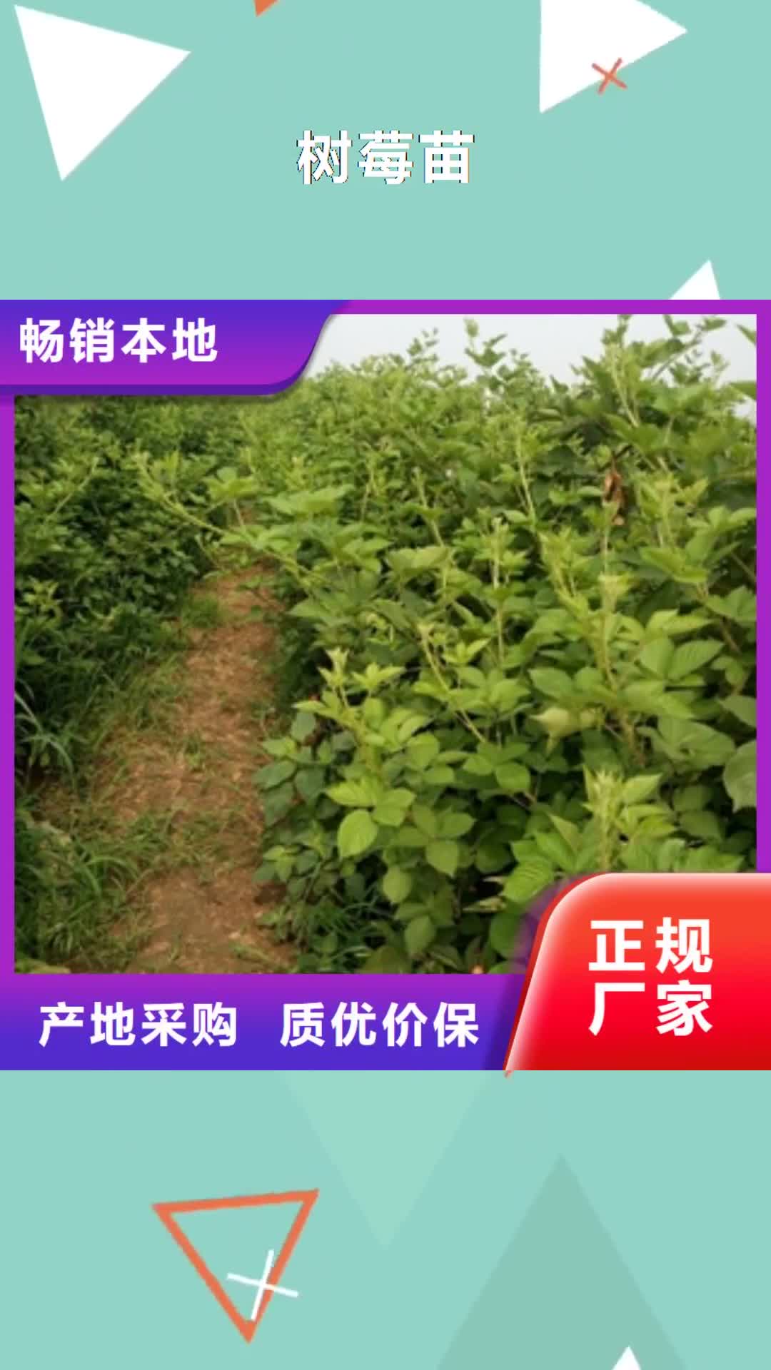 阜新 树莓苗,【碧桃】价格透明