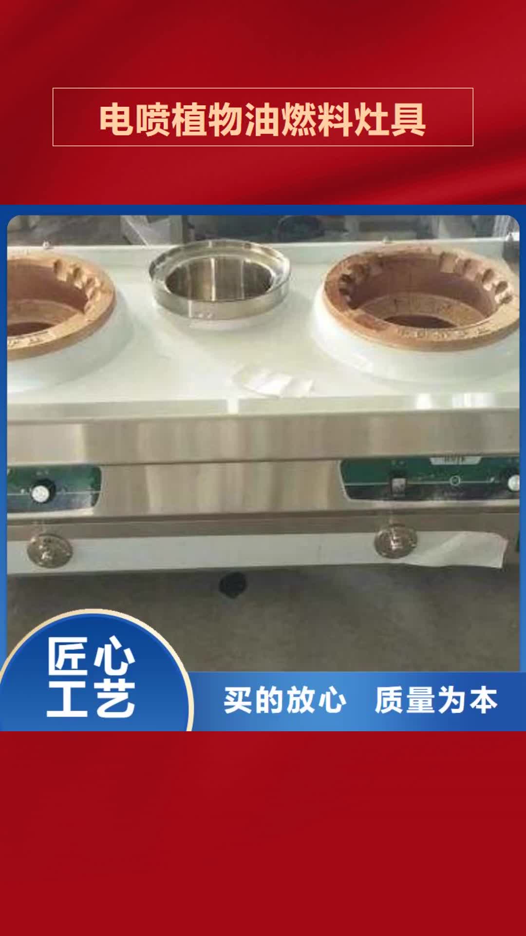 邵阳【电喷植物油燃料灶具】无醇燃料技术培训高标准高品质