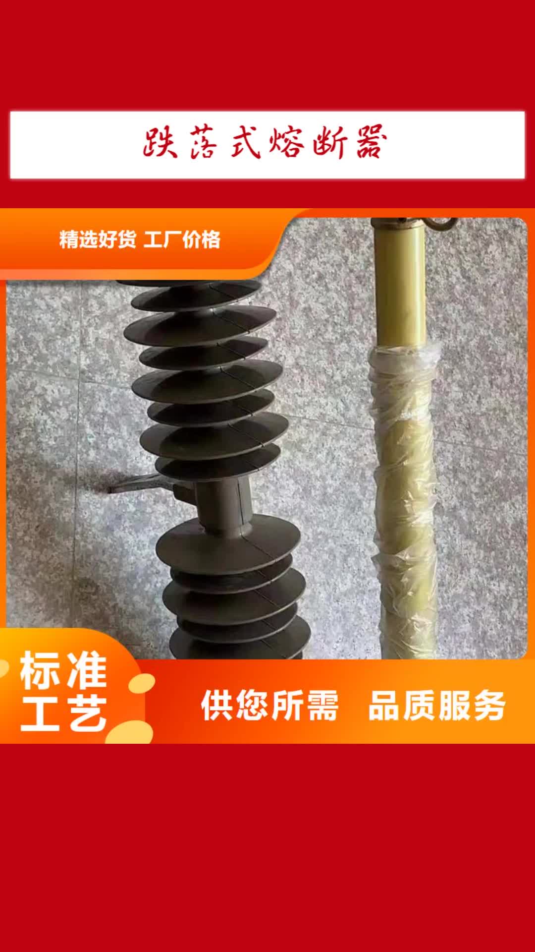 酒泉 跌落式熔断器-【高压保险丝保险管】精工细致打造