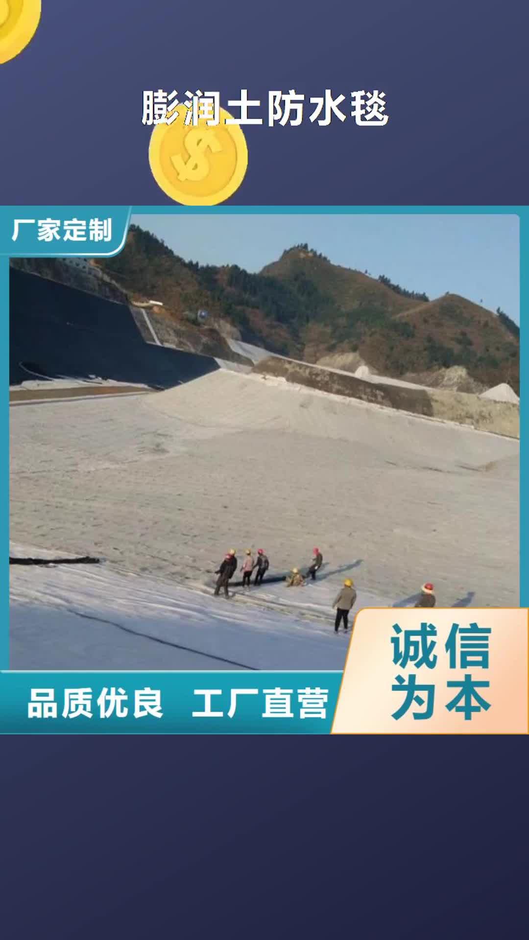 绵阳【膨润土防水毯】 防水土工布订制批发