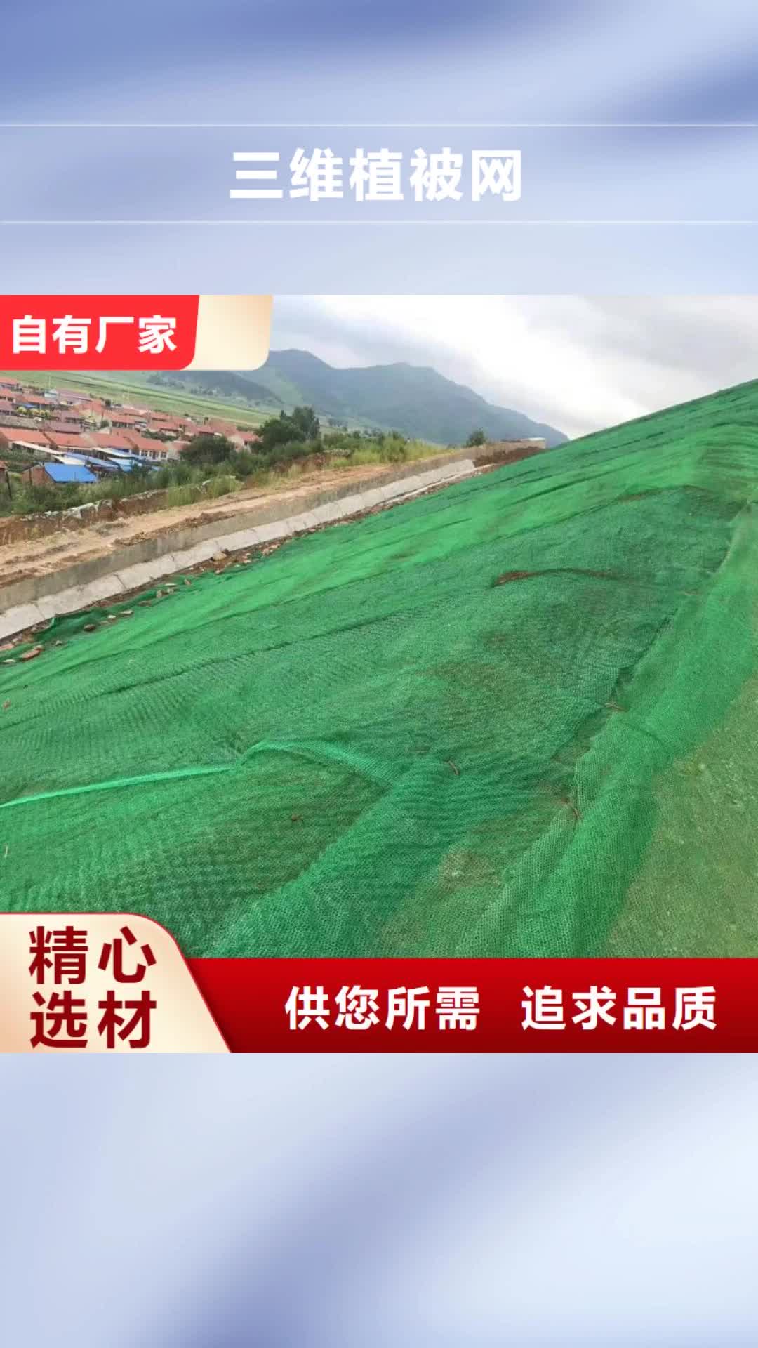 海北 三维植被网-【钢塑土工格栅】厂家定制