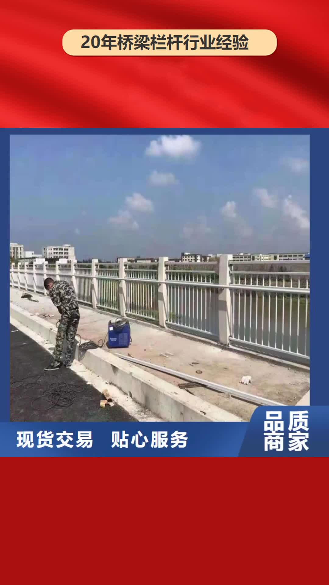 【郴州 桥梁栏杆 桥梁钢护栏自营品质有保障】