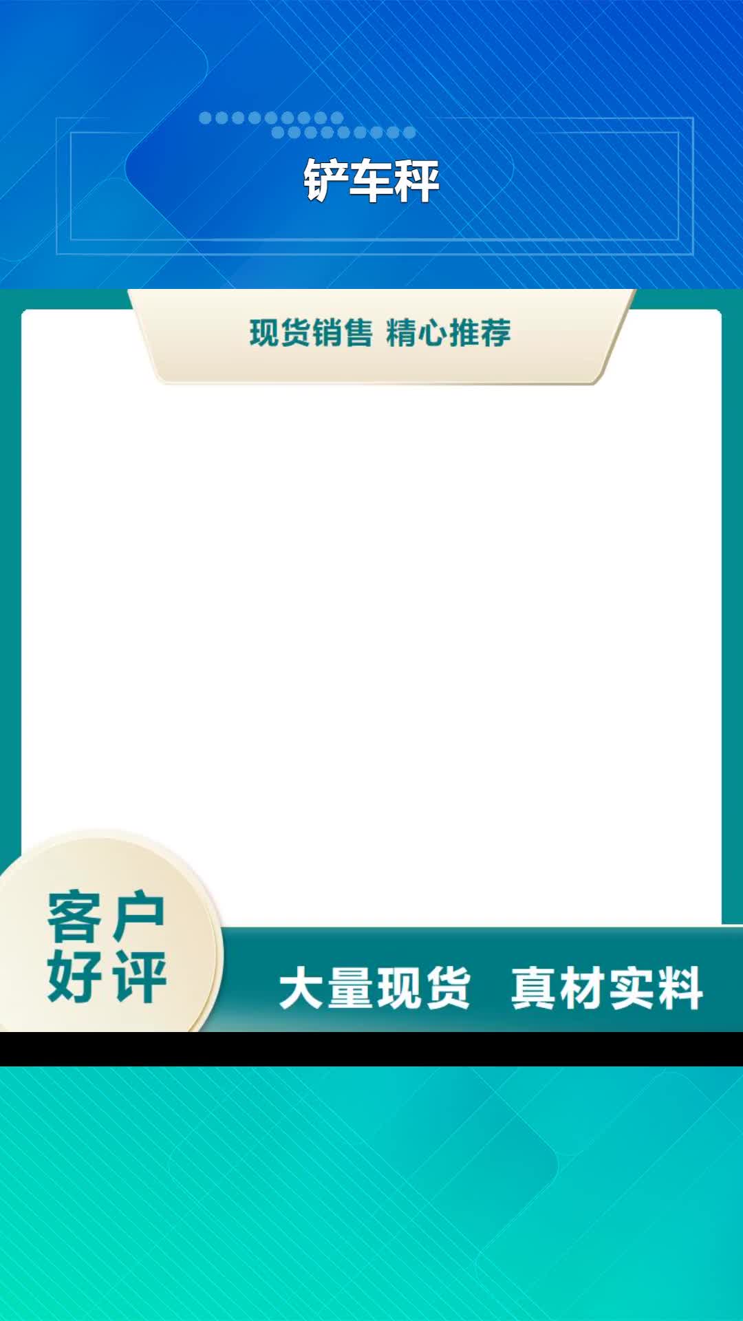 娄底 铲车秤 【地磅价格】专业供货品质管控