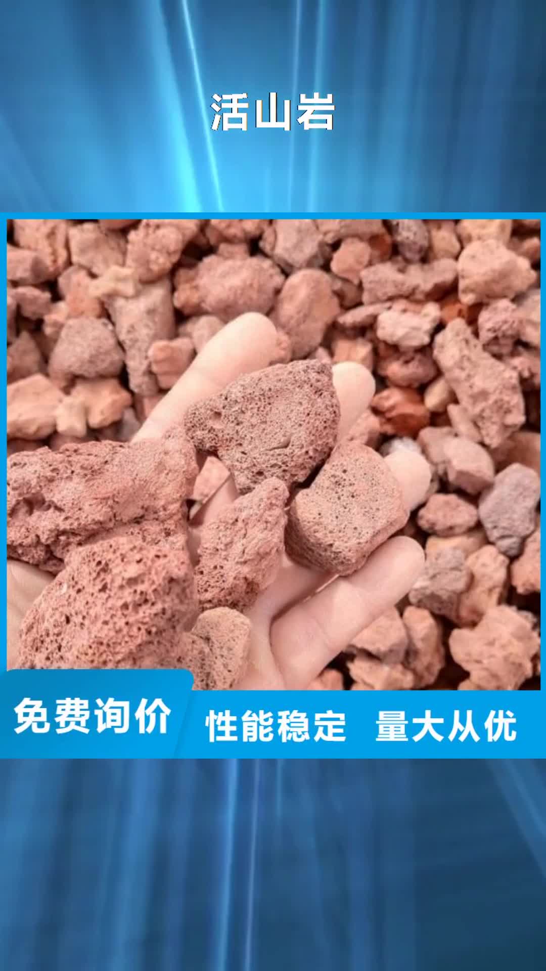 辽源【活山岩】-煤质活性炭定制定做