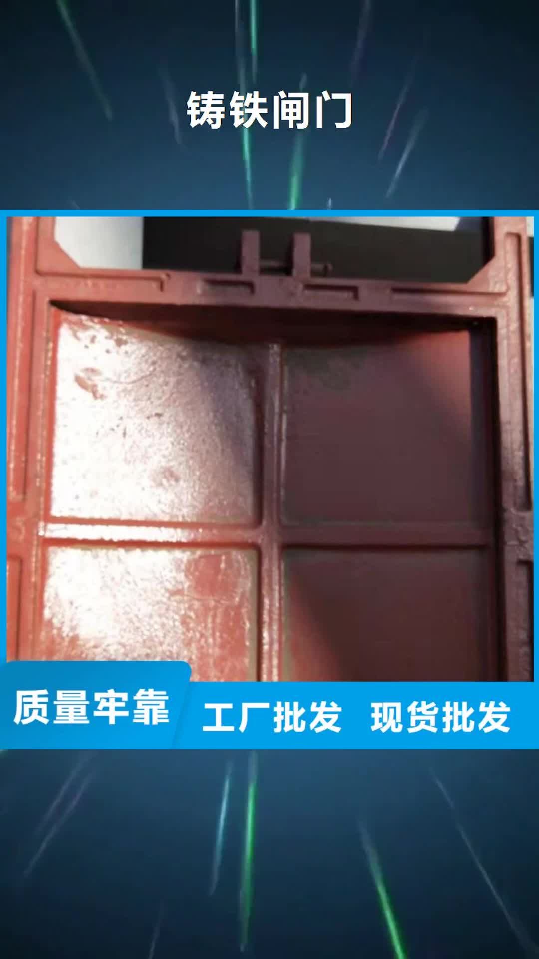 【衡水 铸铁闸门 拍门现货批发】
