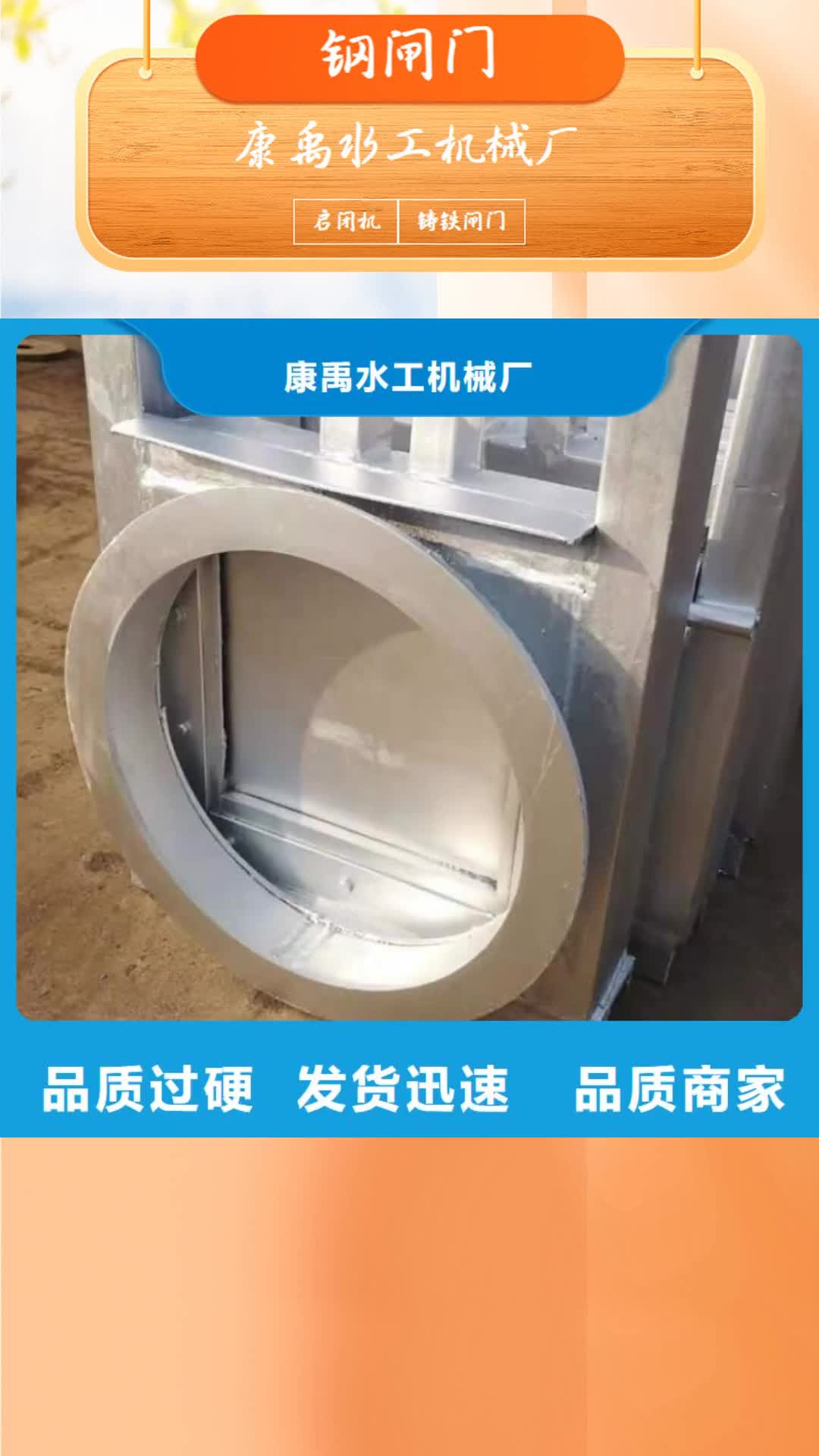 海东钢闸门【平板钢闸门】种类多质量好