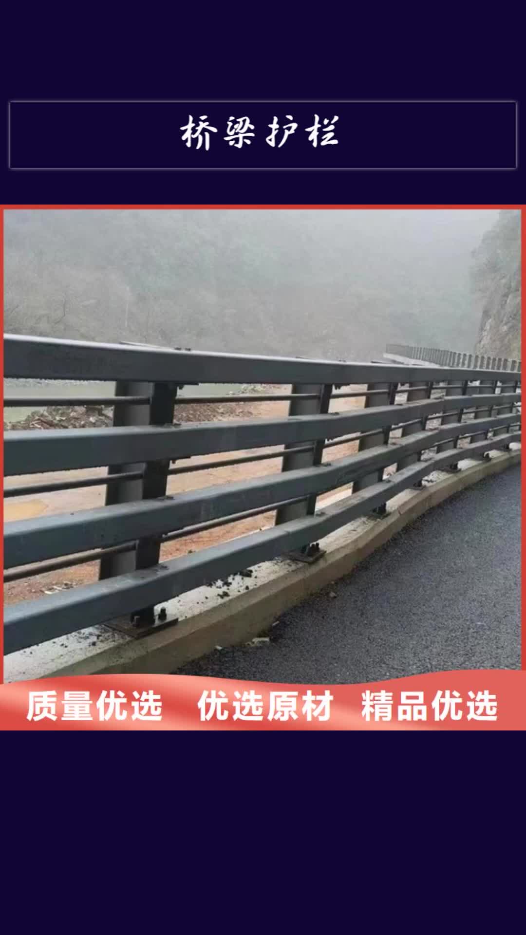 【来宾 桥梁护栏防撞钢护栏实力厂家直销】