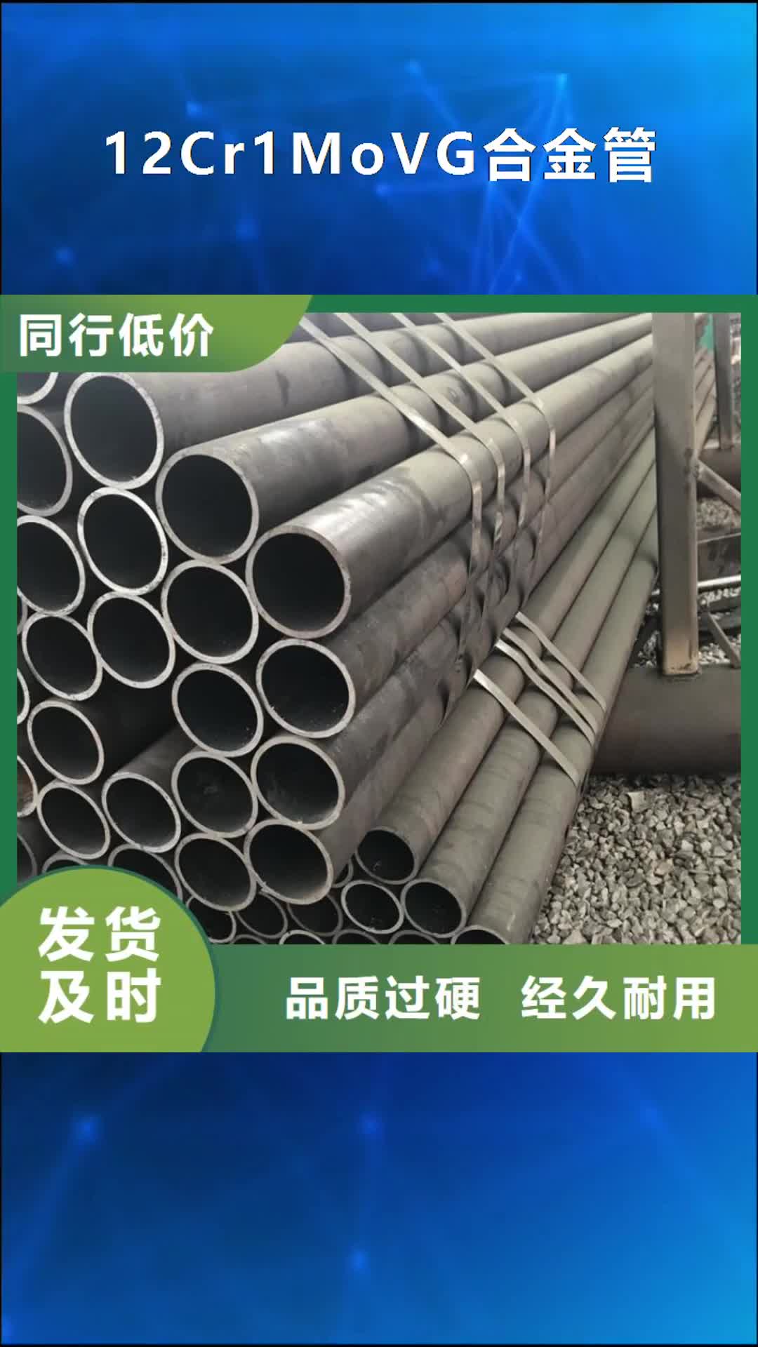 【嘉兴 12Cr1MoVG合金管 合金钢管品质过硬】