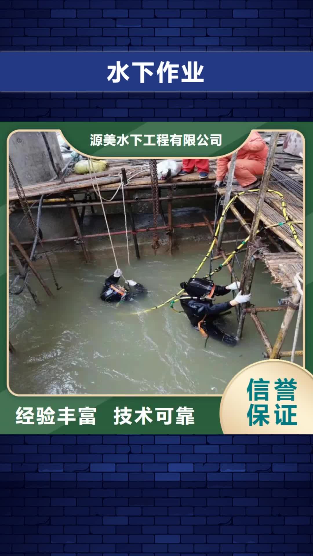 【咸阳 水下作业_水下沉管省钱省时】