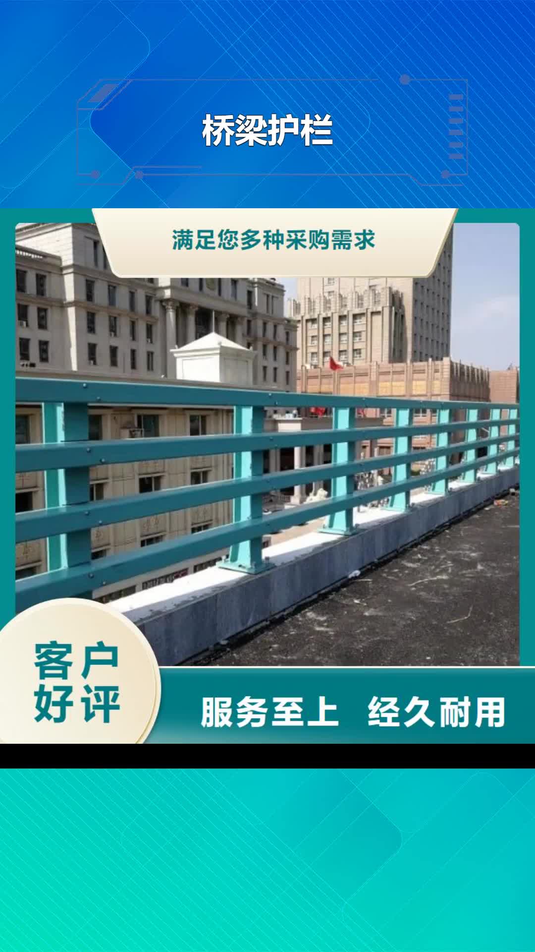 【上海 桥梁护栏河道景观护栏种类丰富】