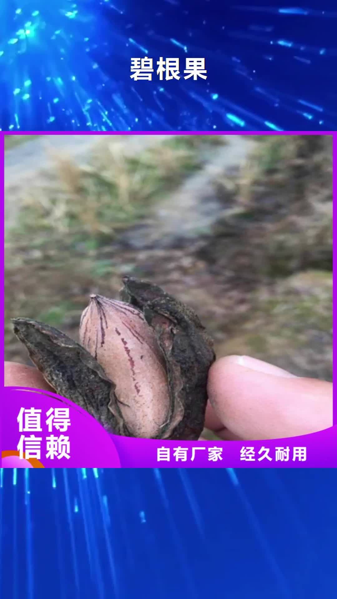 【唐山 碧根果-黄瓜苗随心所欲定制】