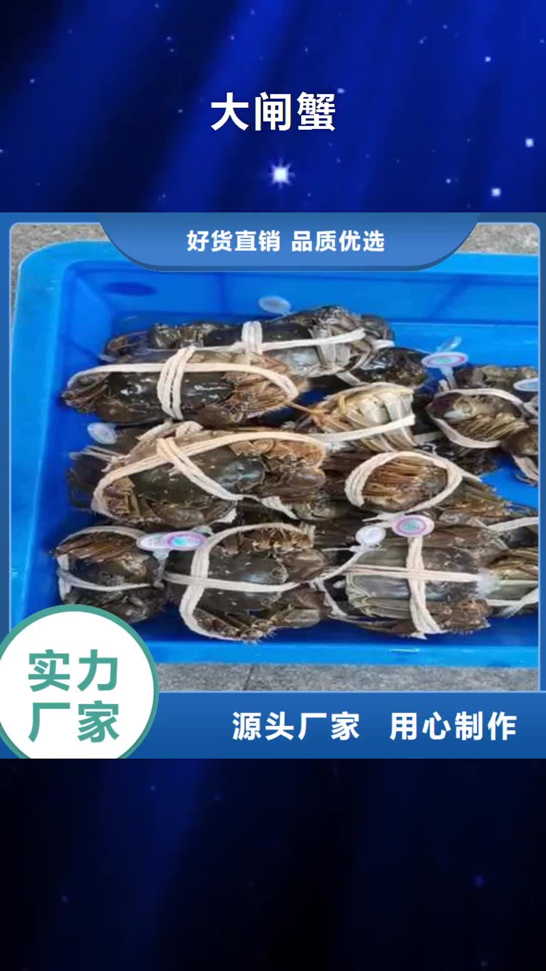 丹东 大闸蟹,【哪里卖阳澄湖大闸蟹】匠心品质