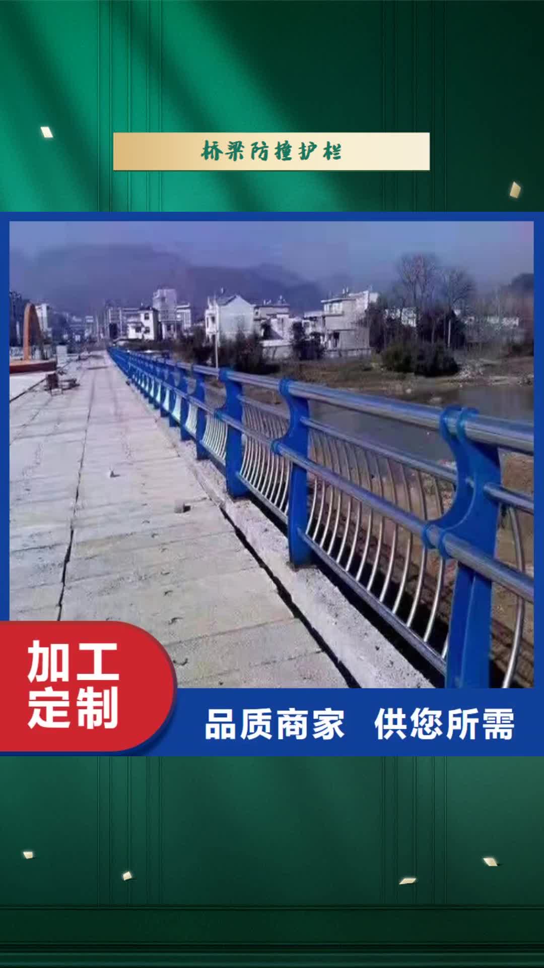 【廊坊 桥梁防撞护栏_道路隔离护栏主推产品】