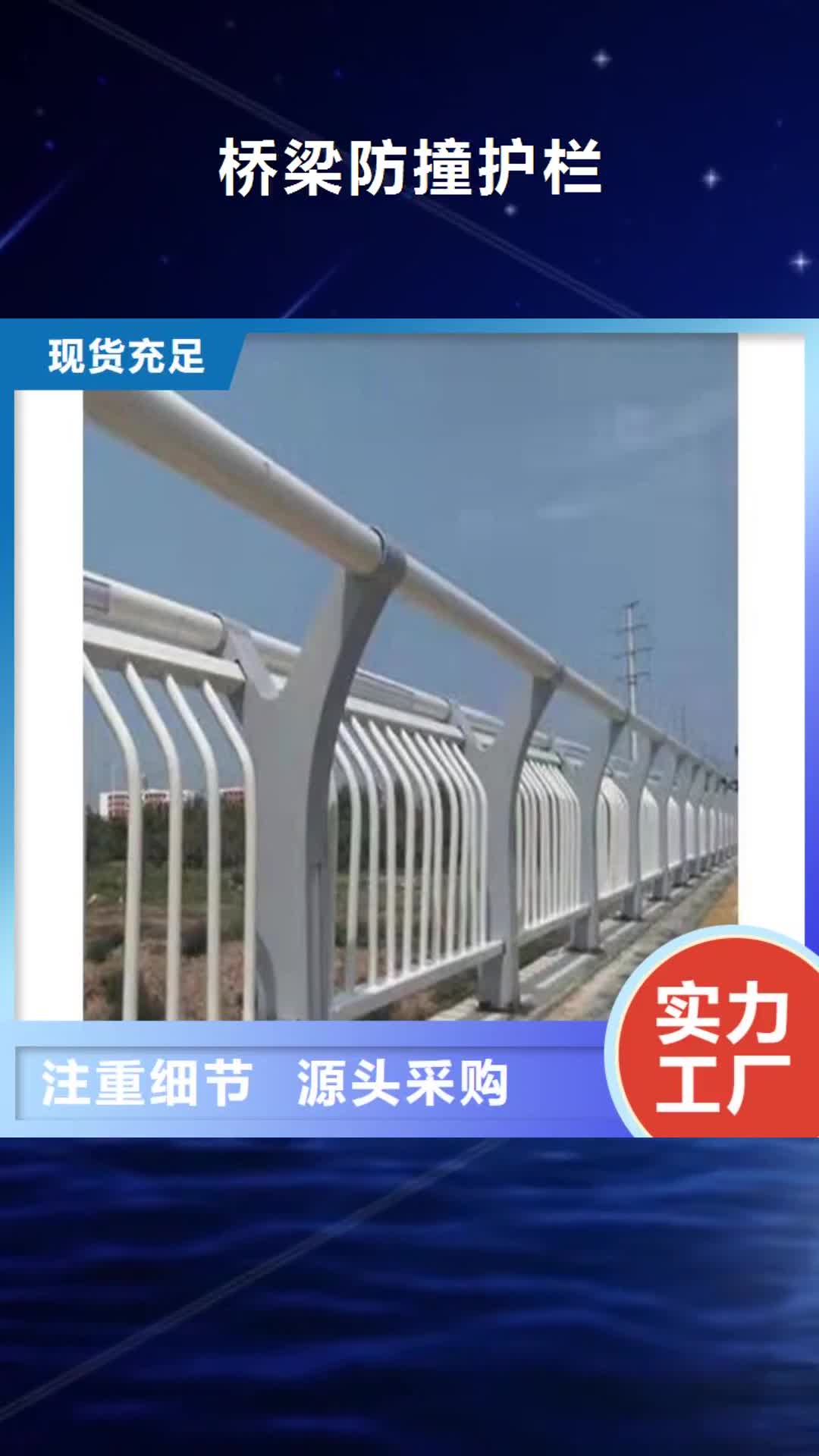台州【桥梁防撞护栏】 防撞桥梁护栏厂订制批发