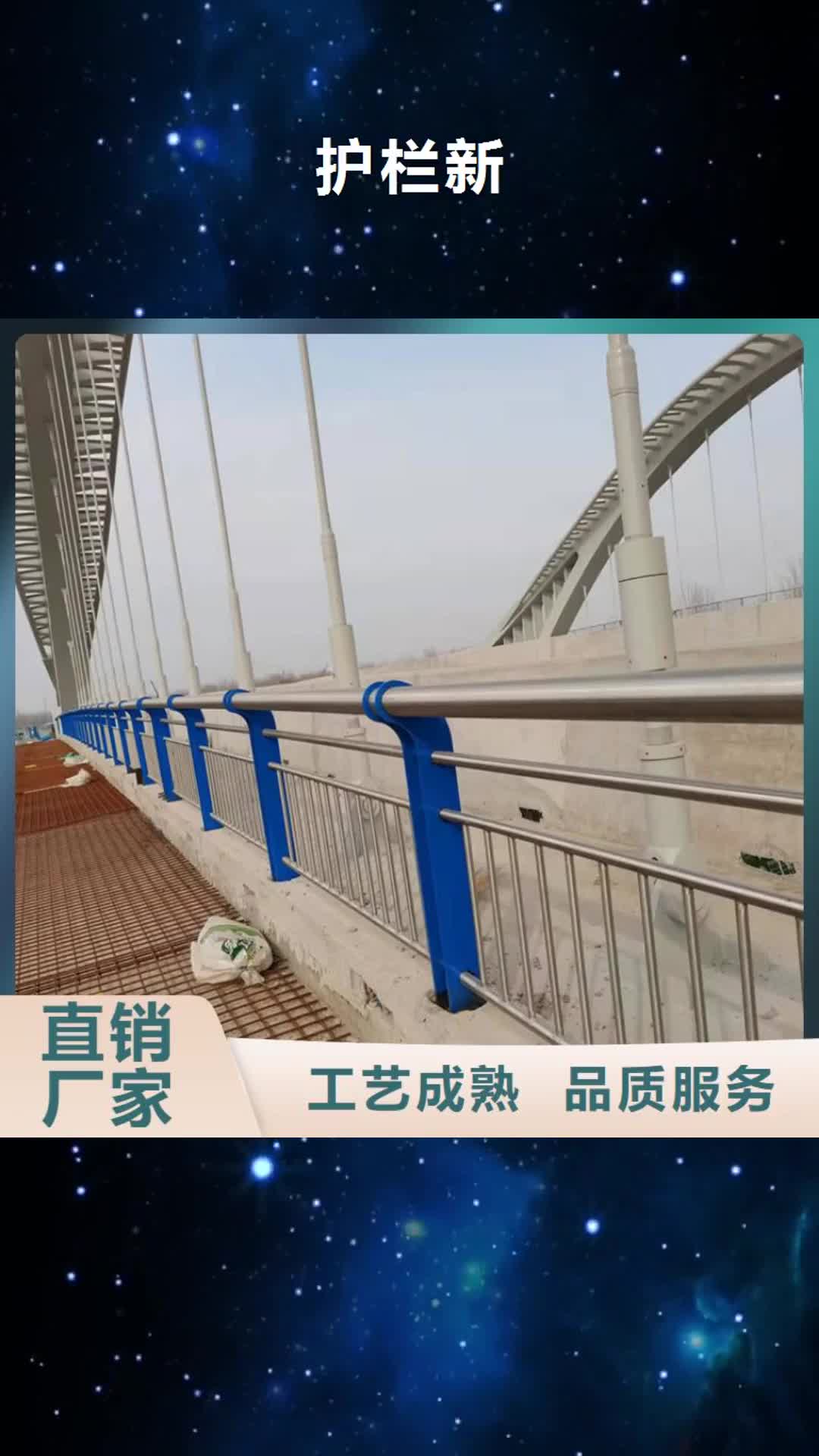 安徽【护栏新】-大桥护栏实力工厂