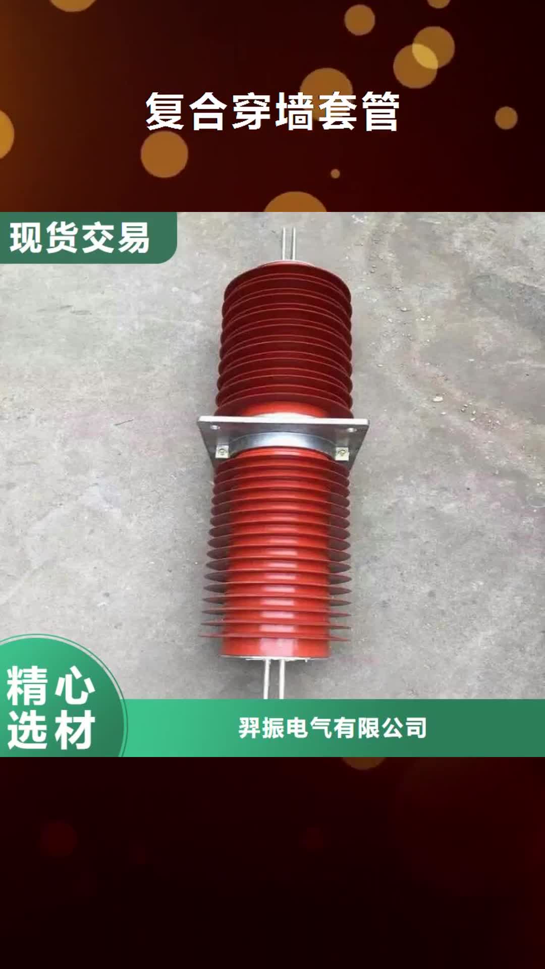 河北复合穿墙套管高压隔离开关敢与同行比质量
