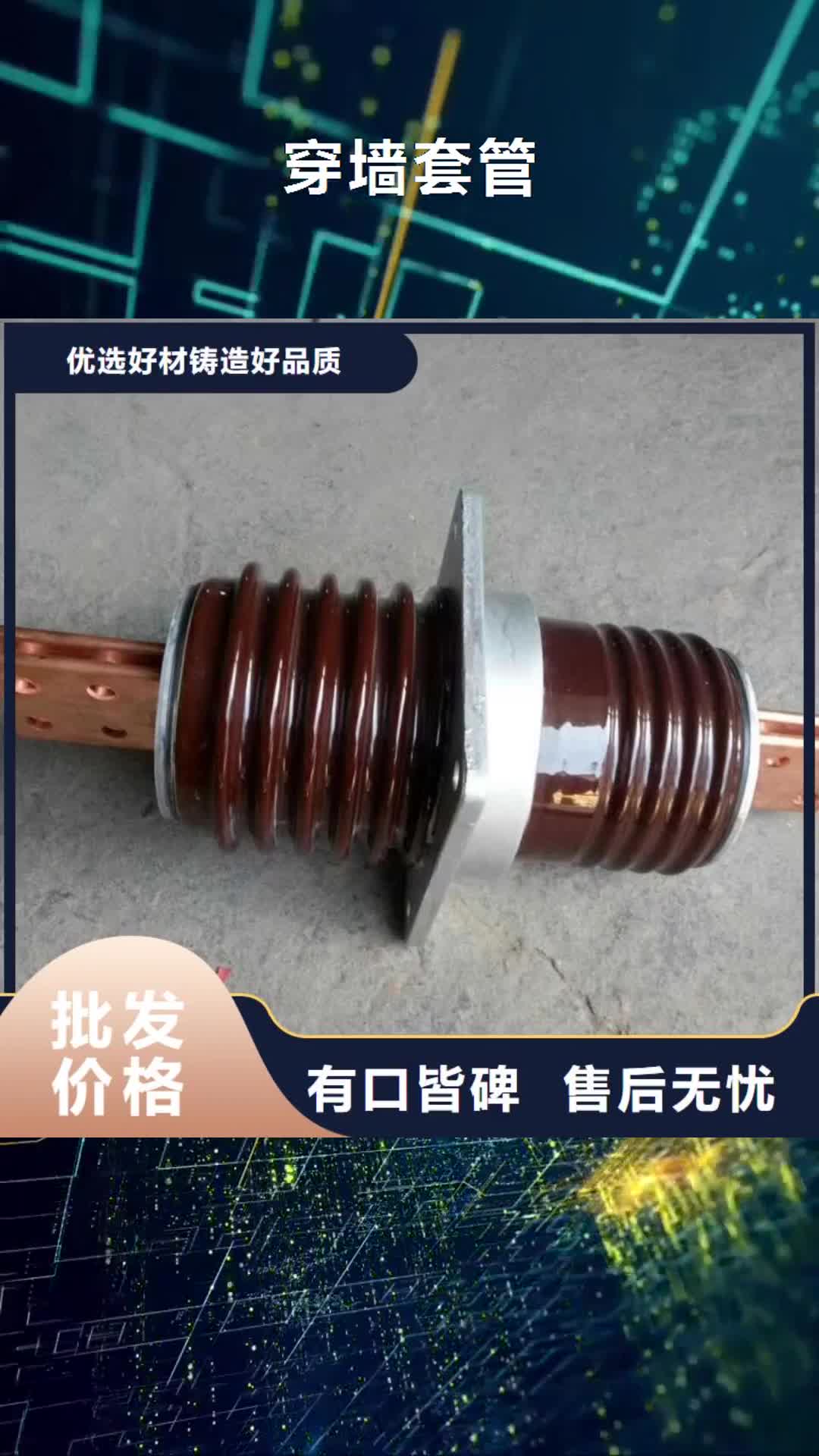 巢湖穿墙套管高压隔离开关按需设计