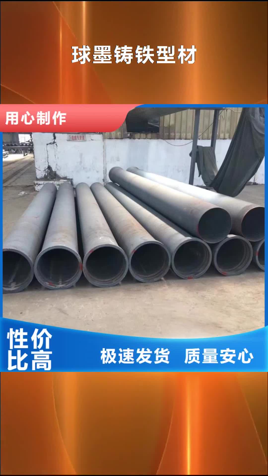 滨州球墨铸铁型材球墨铸铁棒实力商家供货稳定