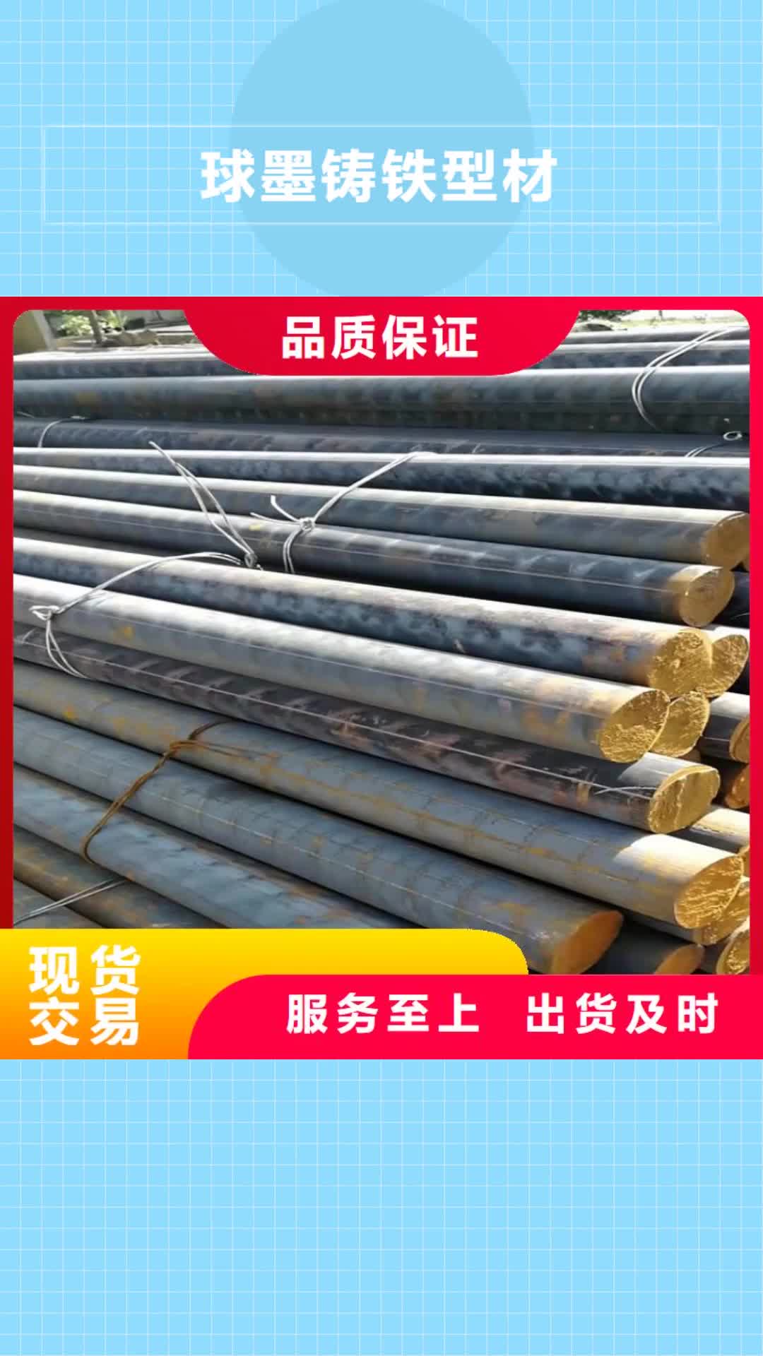 大同球墨铸铁型材球墨铸铁棒随到随提