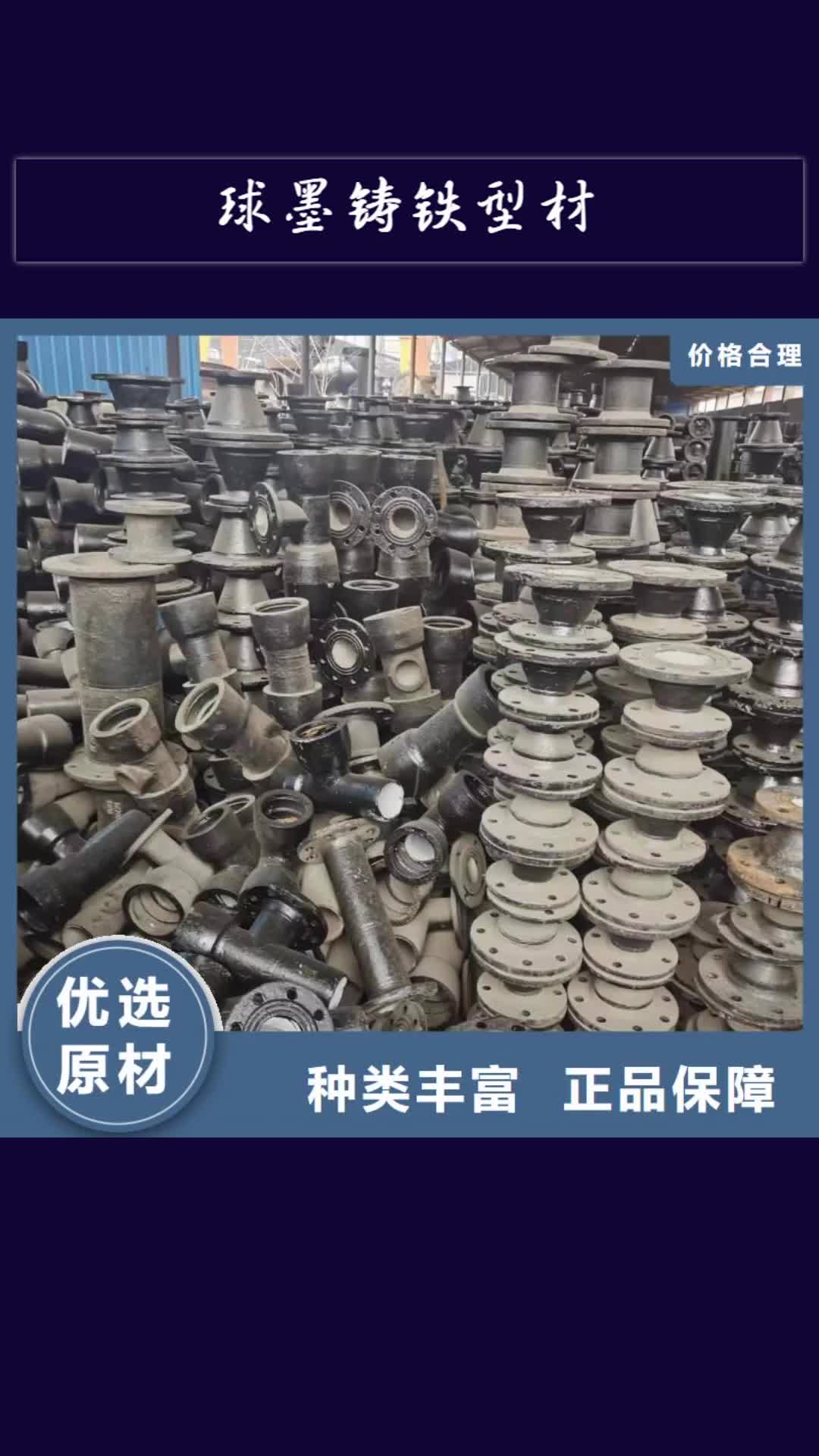 资阳【球墨铸铁型材】-球墨铸铁棒快捷的物流配送