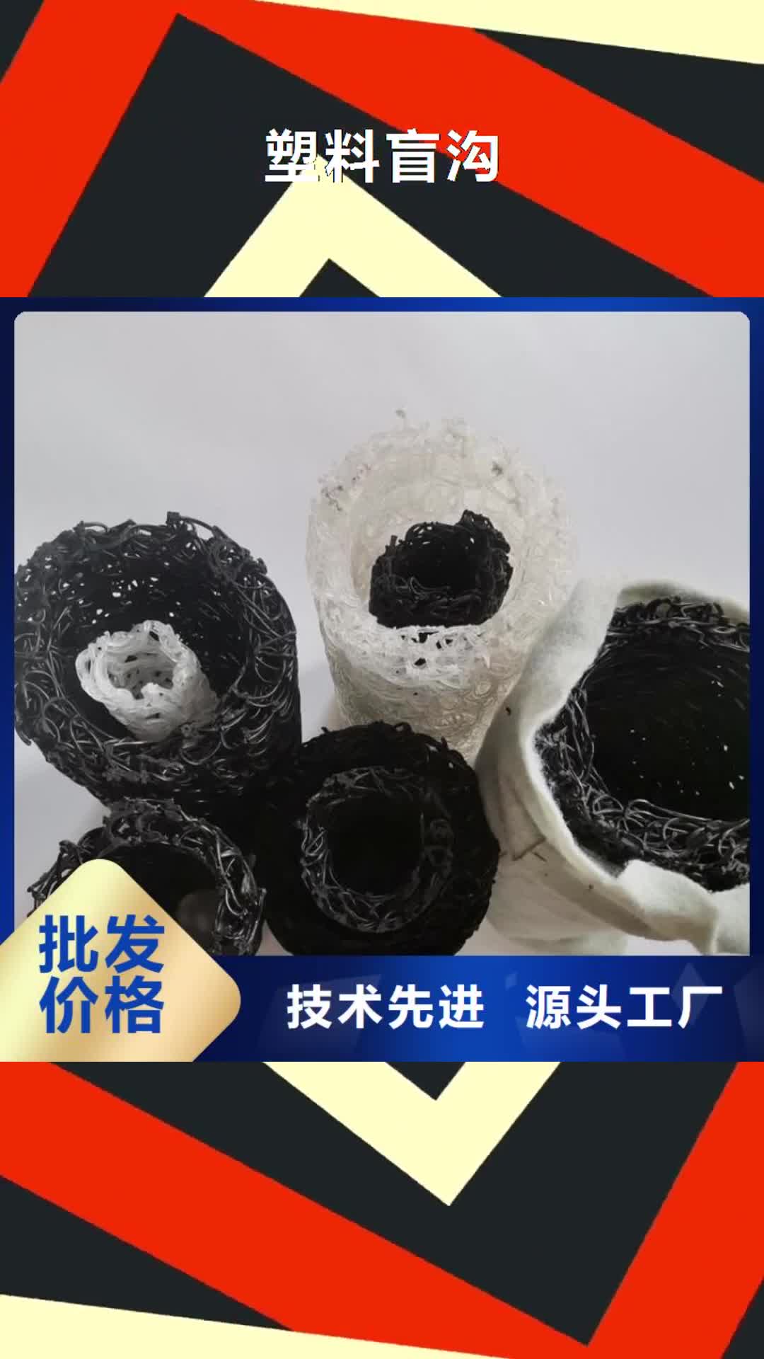 抚顺 塑料盲沟-【防渗膜】产地厂家直销