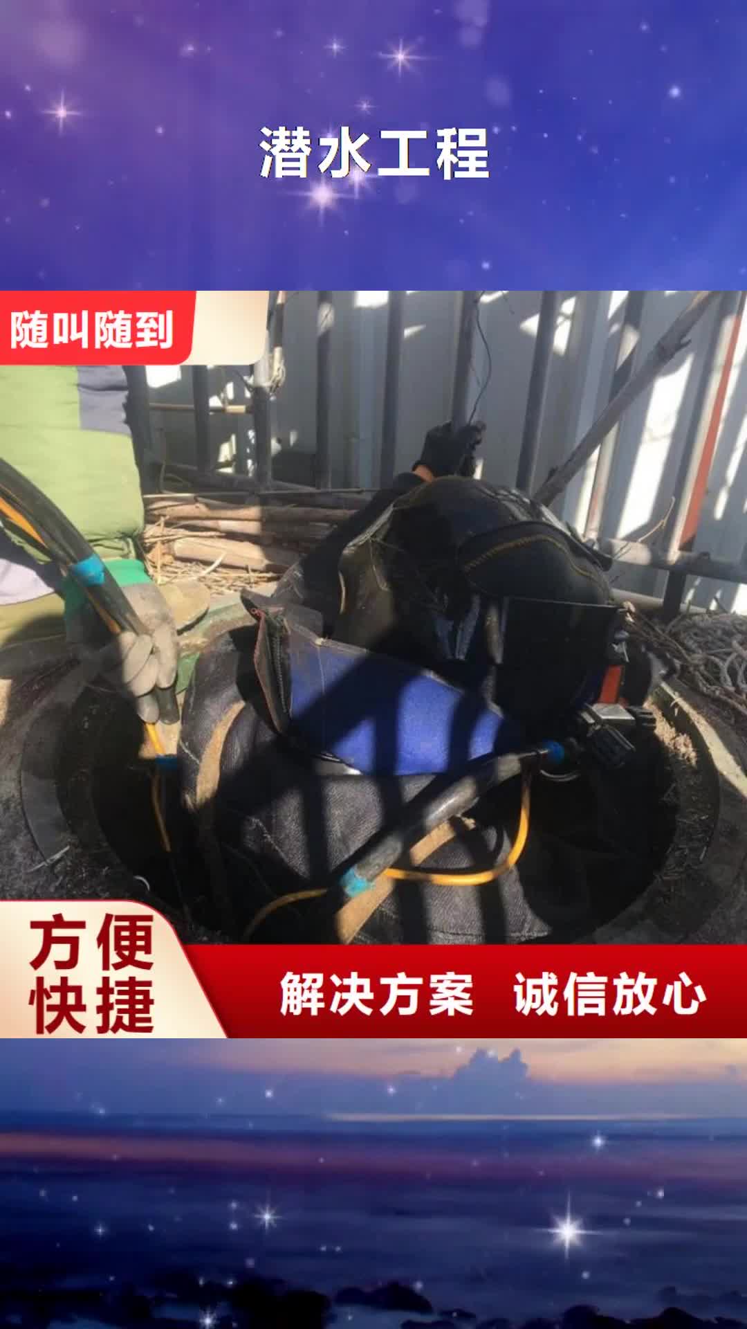 【娄底潜水工程 潜水作业施工质优价廉】