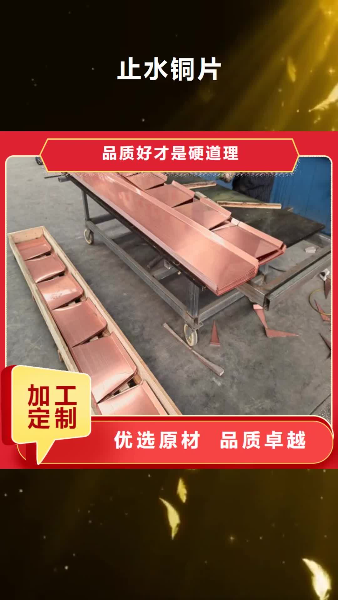 鞍山止水铜片土工格栅厂家直营