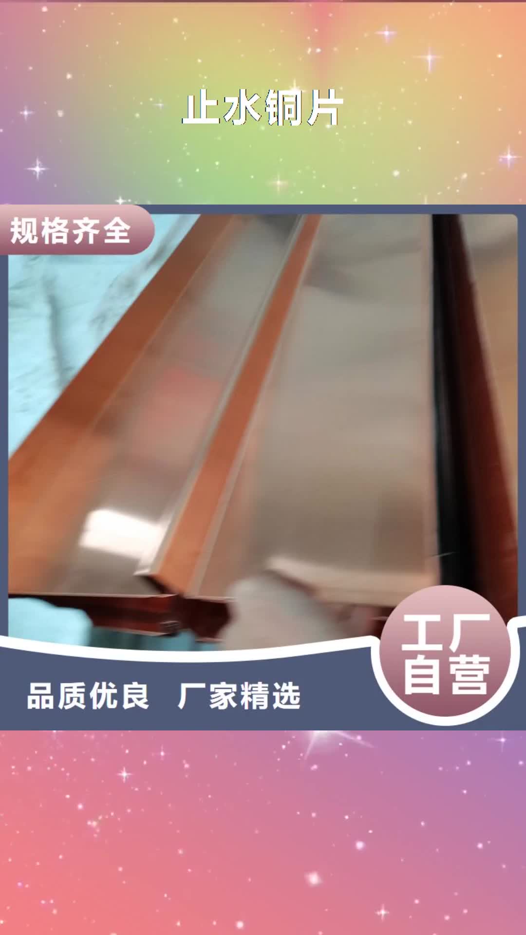 【金昌止水铜片 土工格栅匠心制造】