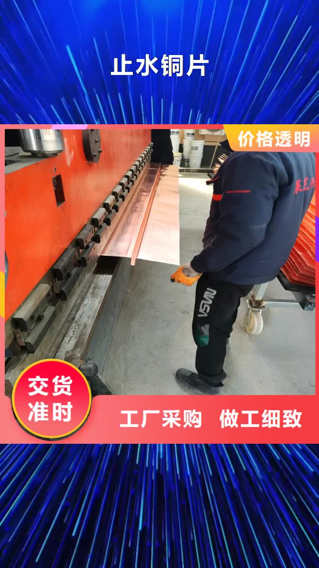 聊城【止水铜片】仿钢塑钢纤维好货直供