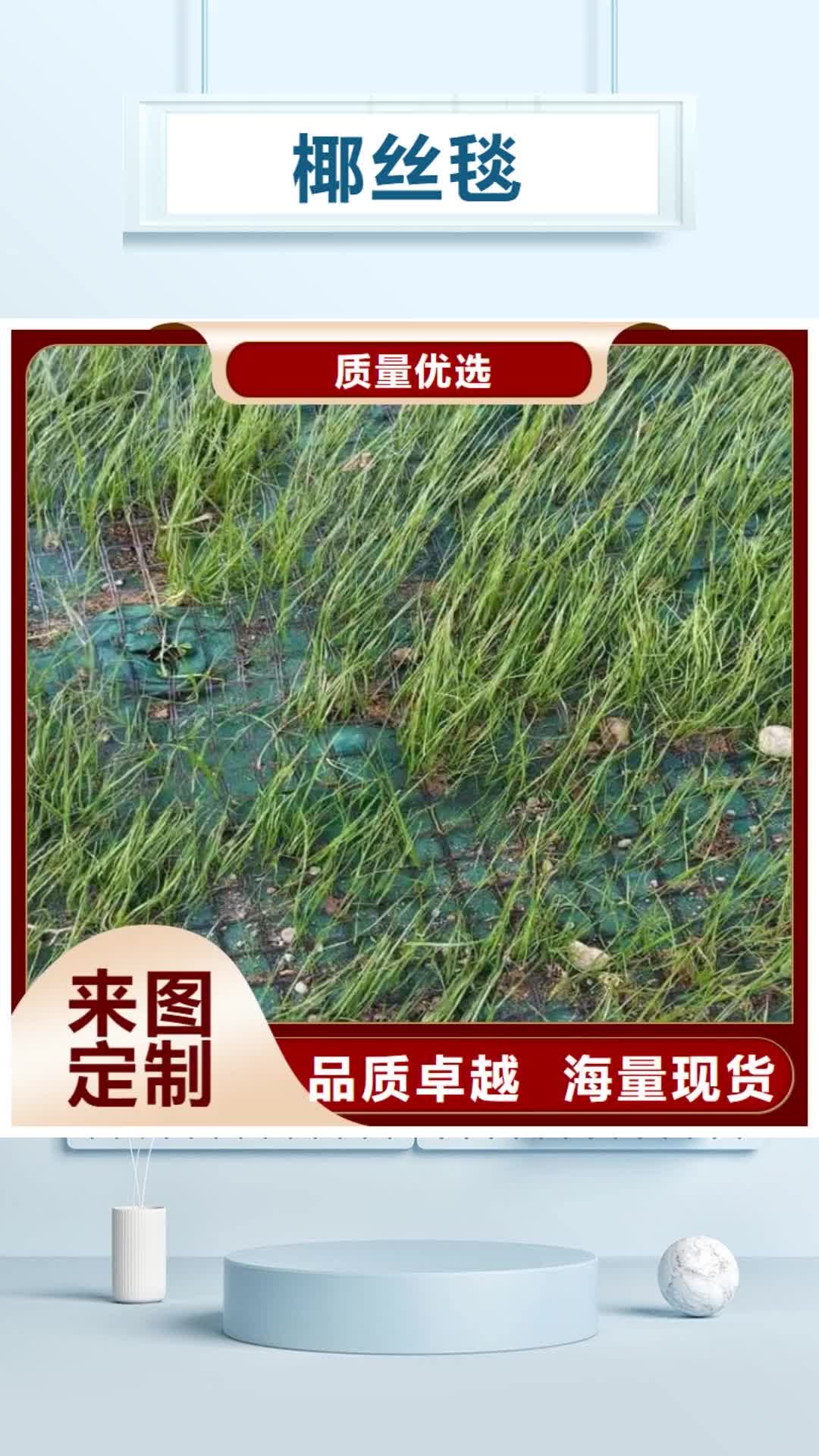 连云港 椰丝毯-【通风降噪丝网】定制批发