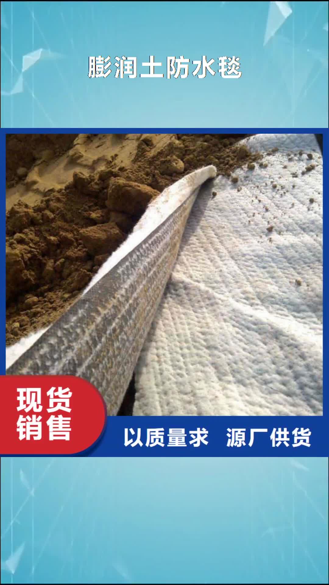 珠海 膨润土防水毯【防渗膜】厂家大量现货