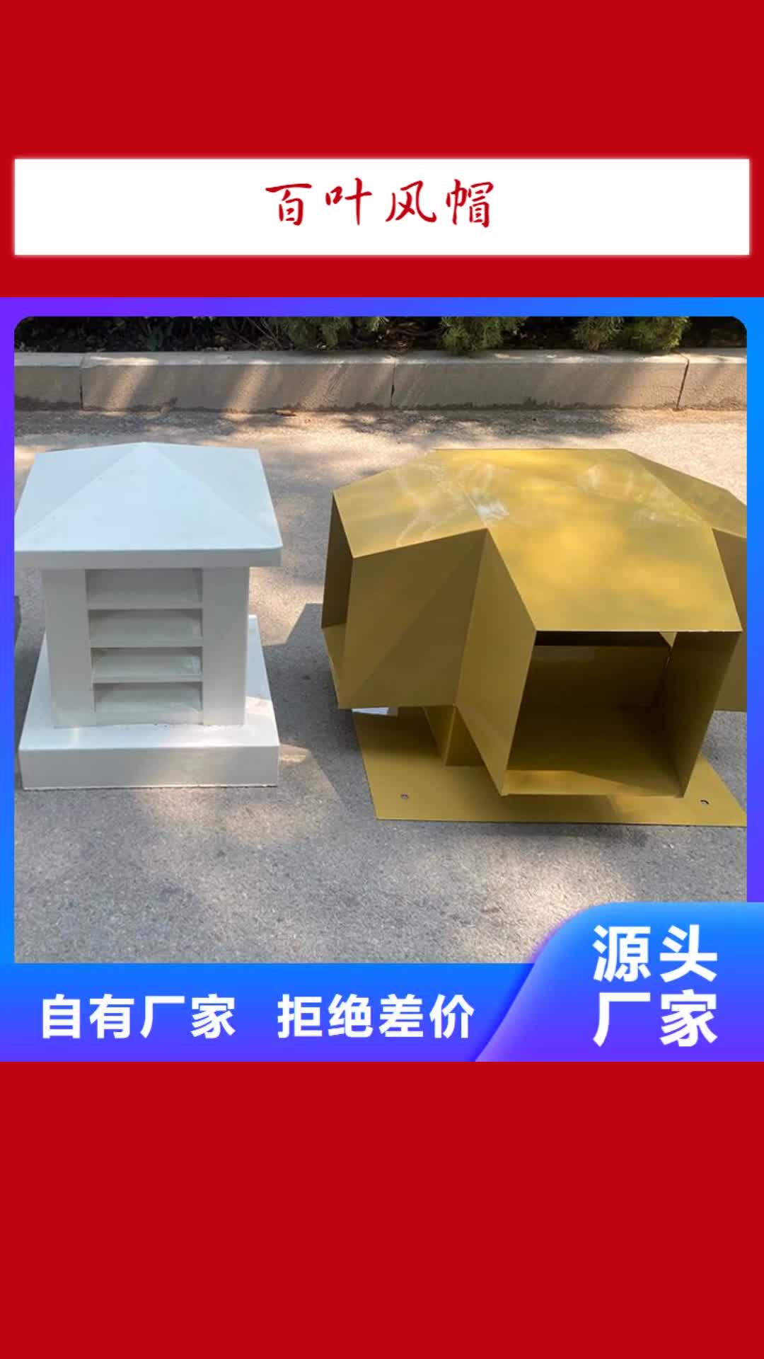 衢州 百叶风帽高品质现货销售