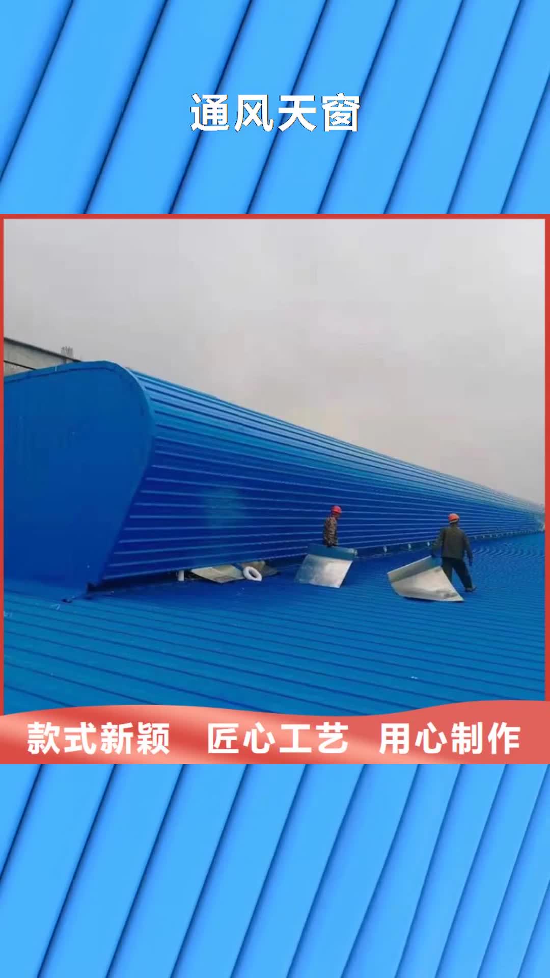 池州【通风天窗】-B系列风帽卓越品质保障
