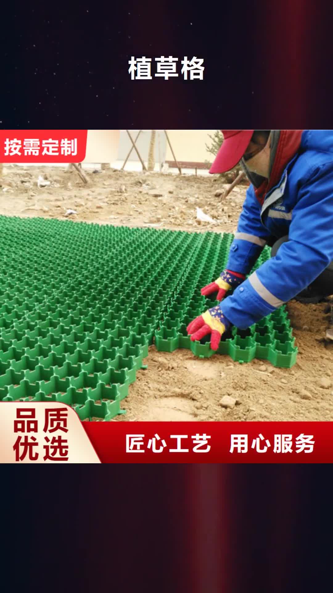 临汾 植草格 【排水板】追求品质