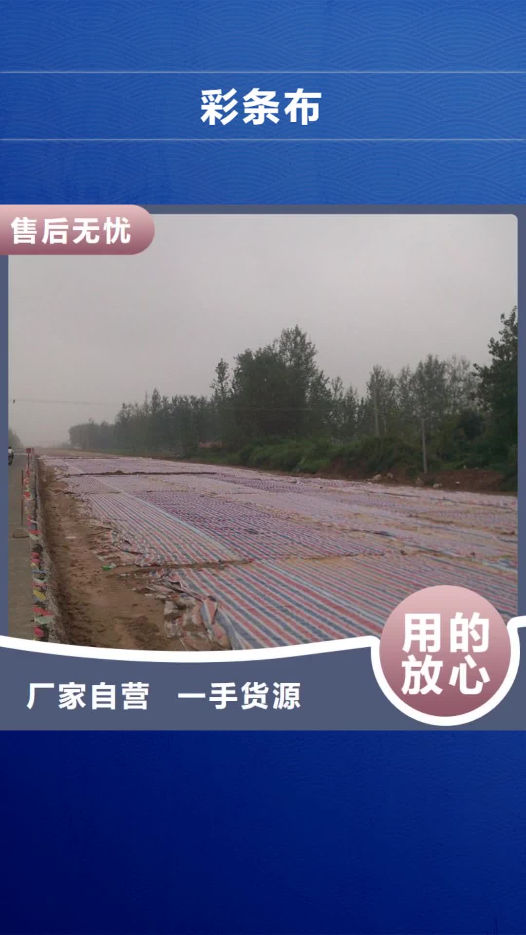 【乐山 彩条布 pe防雨布制造厂我们更专业】