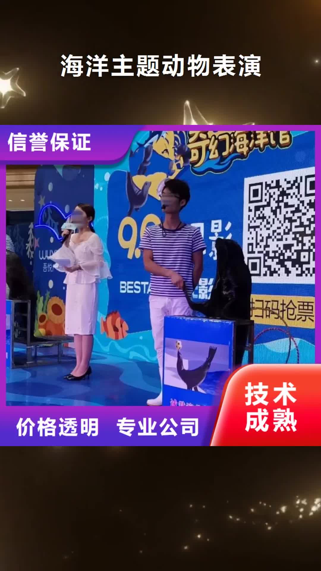 武汉海洋主题动物表演-【马戏团表演】知名公司