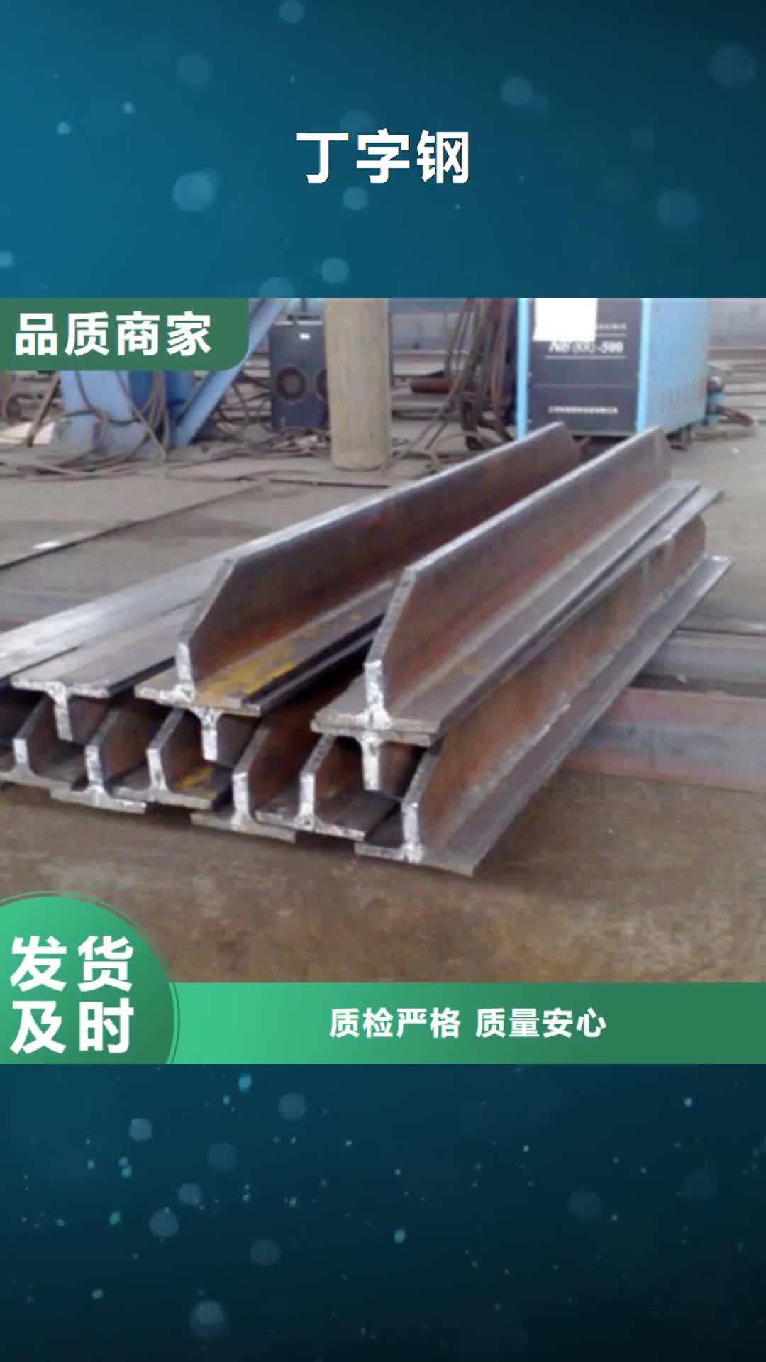 【枣庄 丁字钢_钢管喷漆服务始终如一】