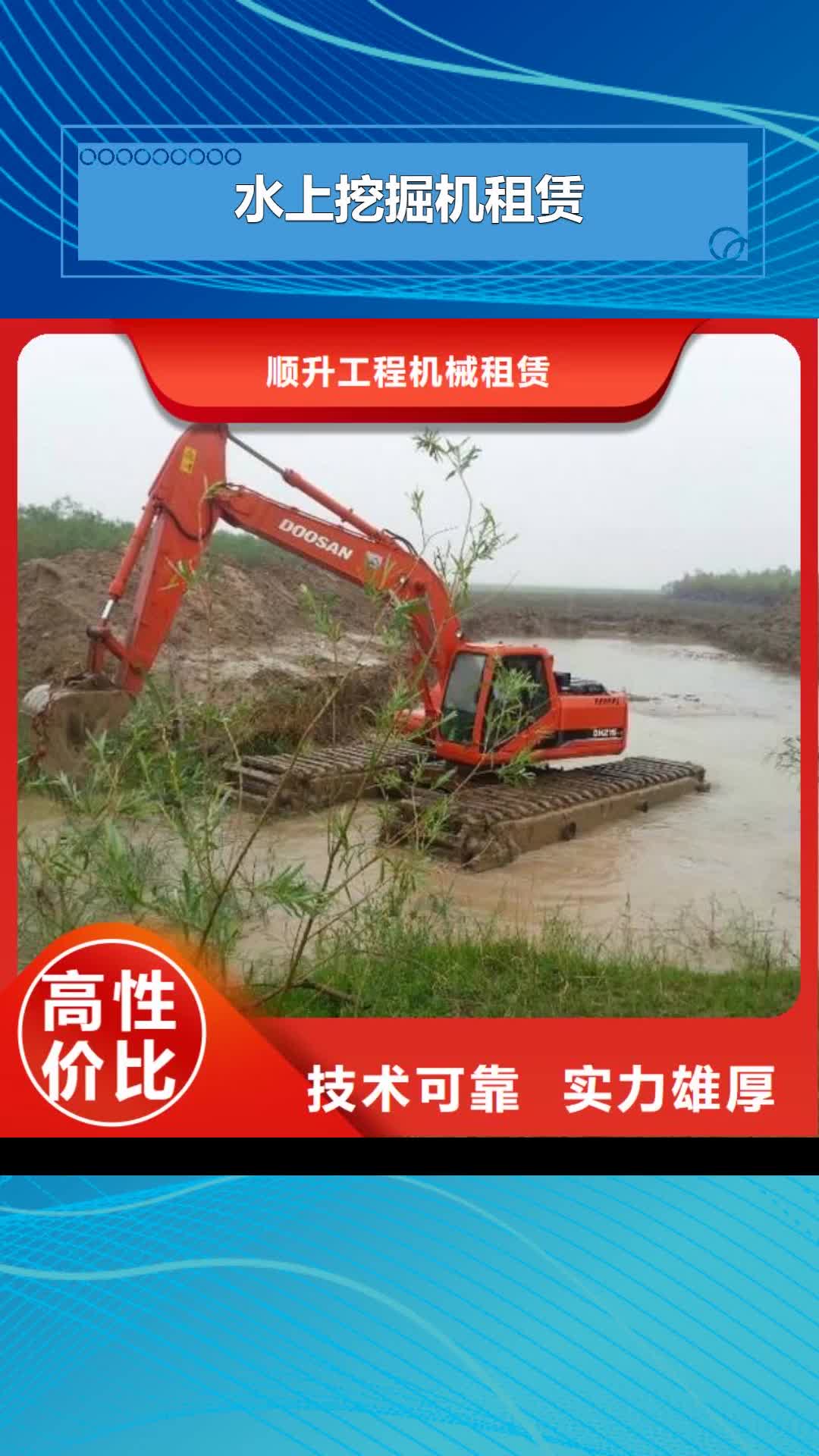 牡丹江 水上挖掘机租赁_【租赁湿地挖机公司】经验丰富