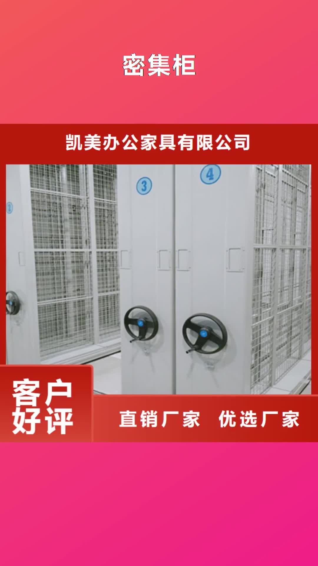 深圳密集柜厨式密集架欢迎来电咨询