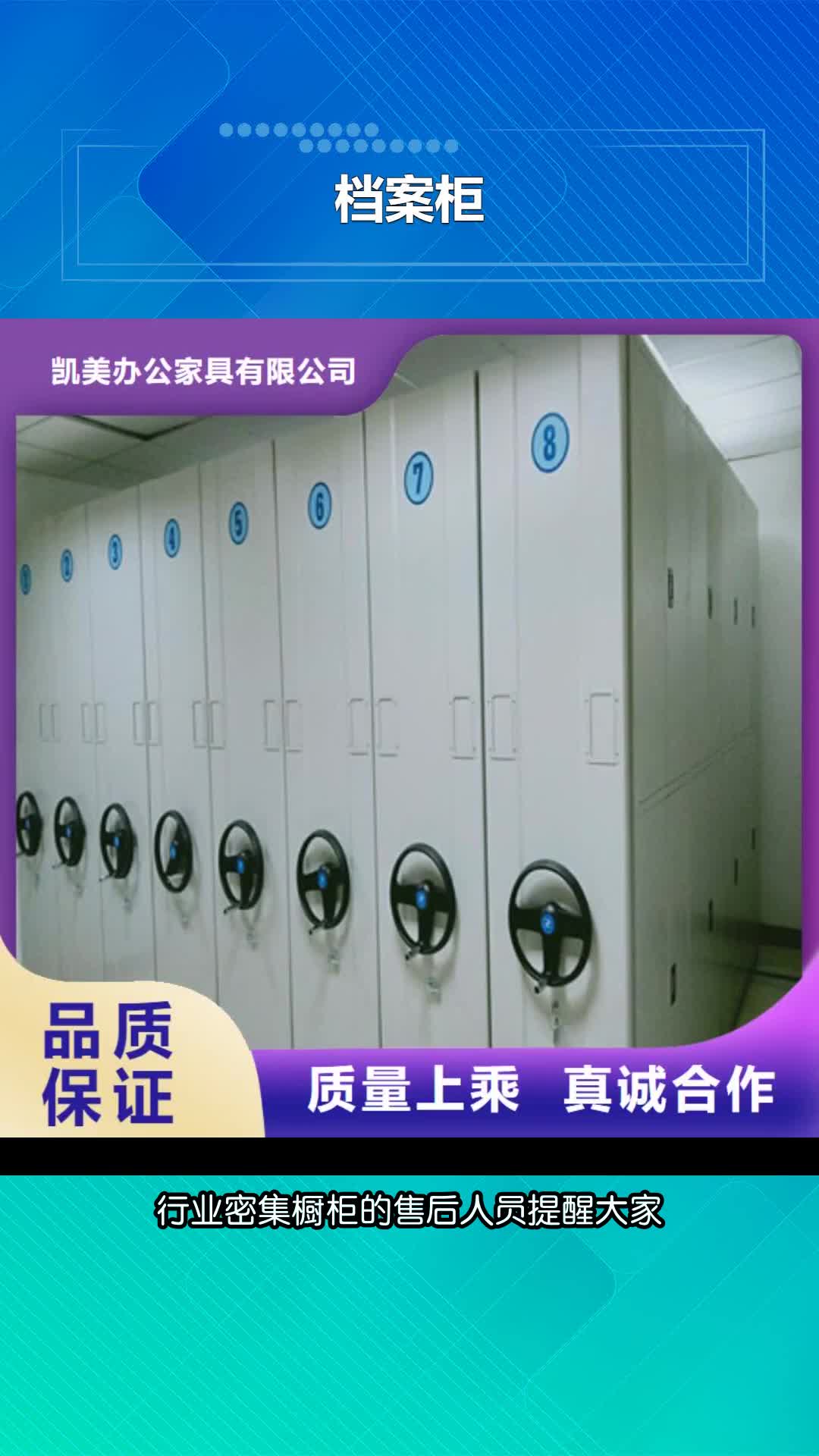邵阳档案柜移动档案橱加工定制