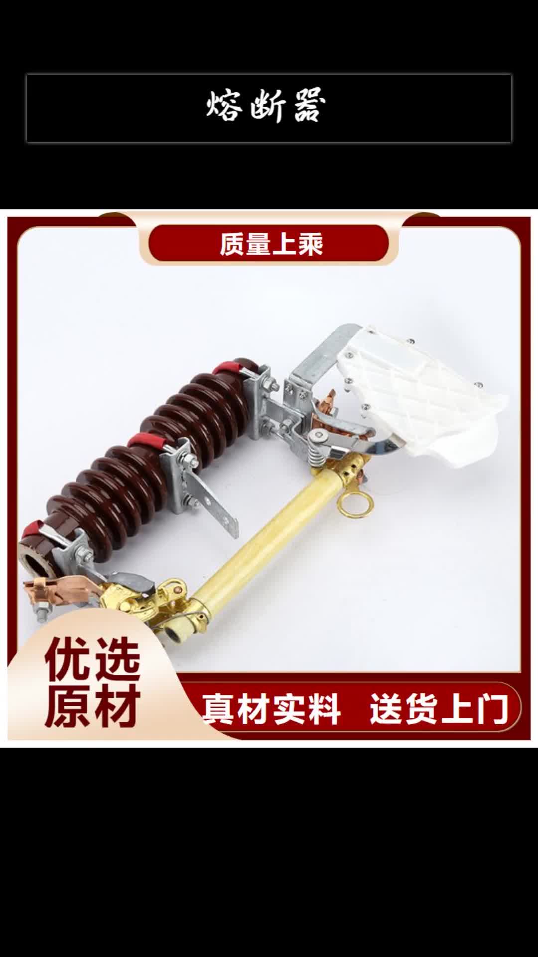 珠海熔断器限流熔断器专心专注专业
