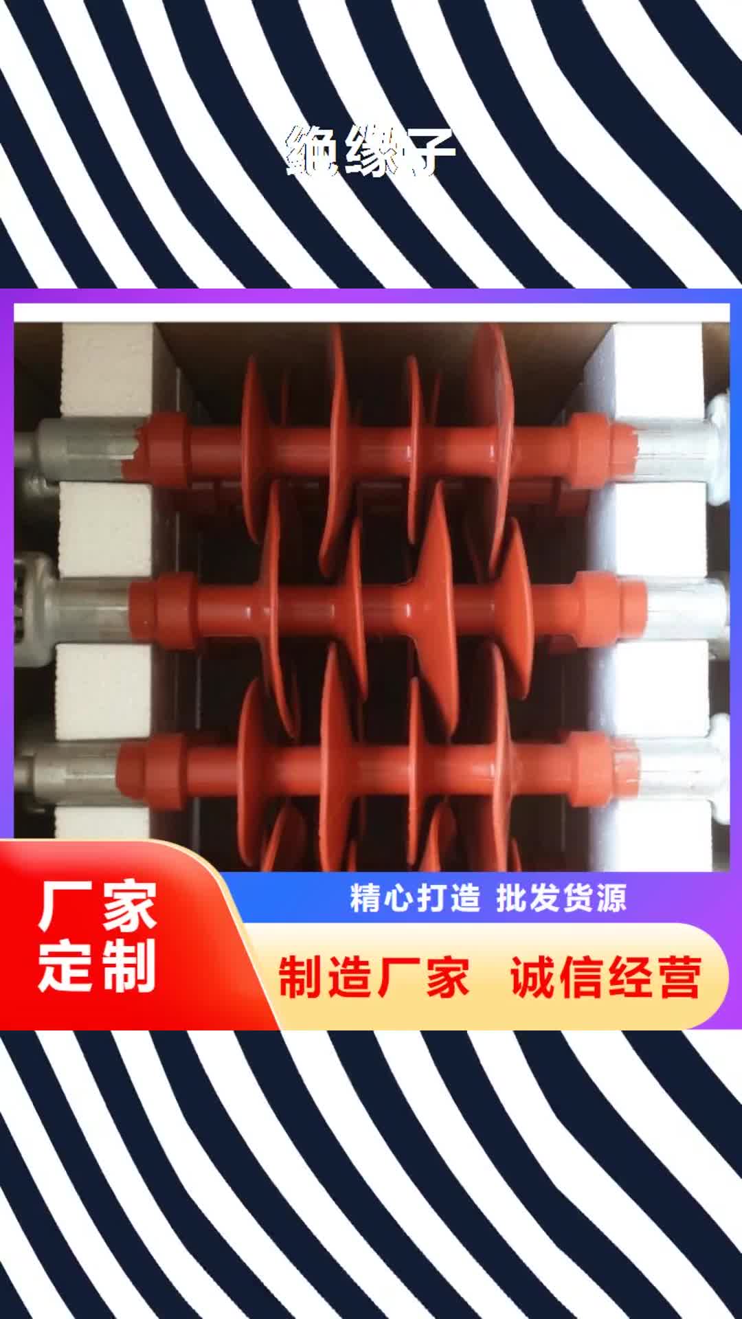 潮州 绝缘子 【固定金具】客户信赖的厂家