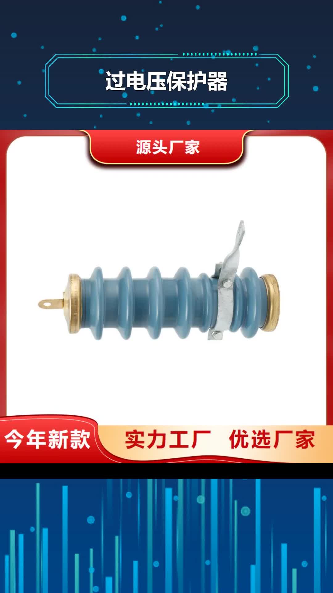 【邵阳 过电压保护器 真空断路器精选厂家好货】