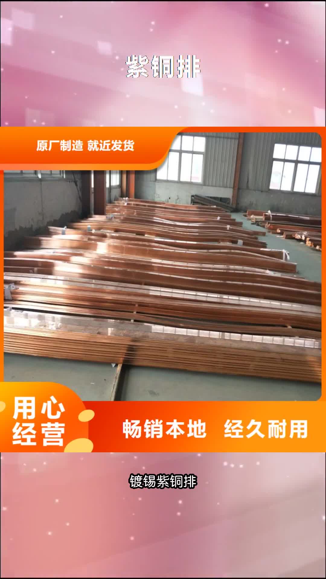 福建紫铜排现货直发
