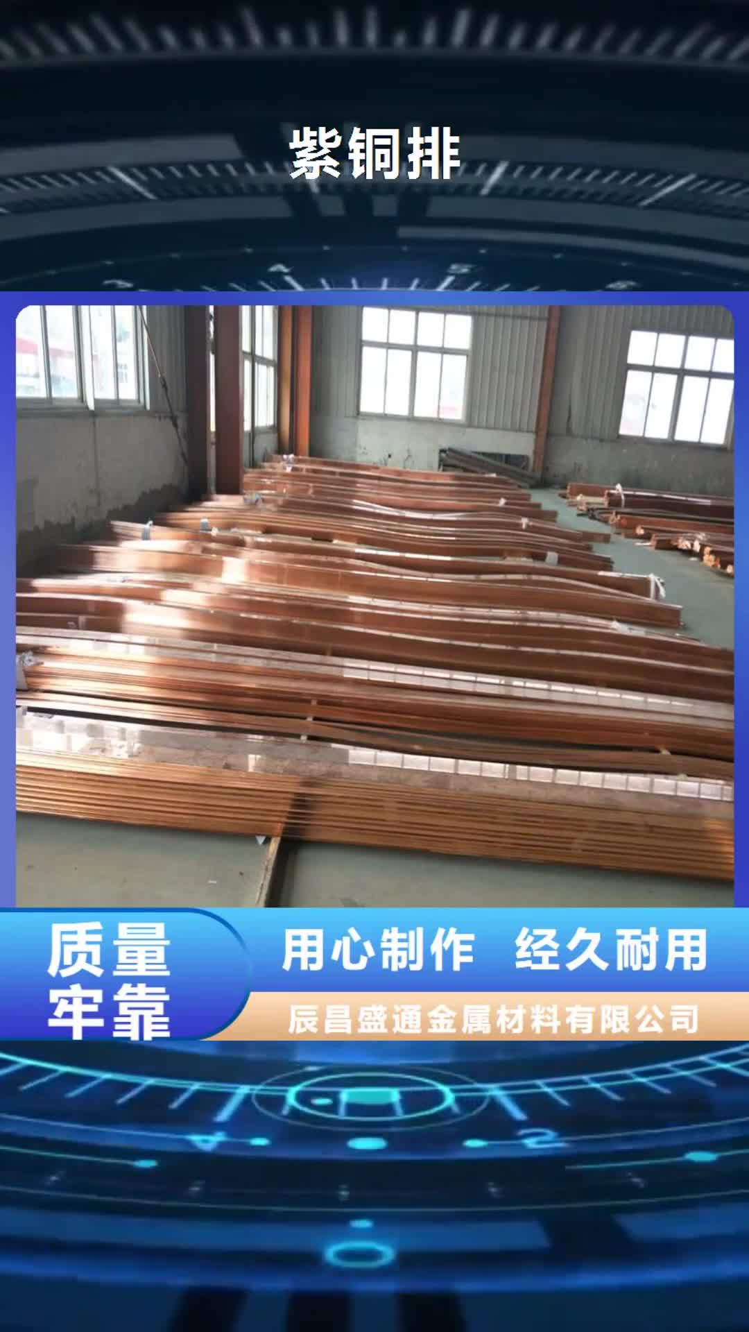 桂林紫铜排黄铜棒产地直供